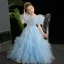 Fashion Sky Blue Sequins Lace Flower Ruffle Birthday Flower Girl Dresses 2024 Ball Gown Scoop Neck Short Sleeve Floor-Length / Long