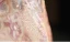 Chic / Beautiful Blushing Pink Lace Flower Sequins Evening Party Cheongsam 2024 Trumpet / Mermaid High Neck Short Sleeve Tea-length