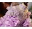 Flower Fairy Purple Beading Sequins Pearl Lace Flower Birthday Flower Girl Dresses 2025 Ball Gown High Neck Short Sleeve Backless Floor-Length / Long