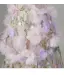 Flower Fairy Blushing Pink Beading Sequins Appliques Embroidered Prom Dresses 2026 A-Line / Princess Scoop Neck Sleeveless Backless Floor-Length / Long Prom Formal Dresses