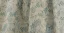 Classy Sage Green Printing Prom Dresses 2024 A-Line / Princess Scoop Neck Puffy Short Sleeve Backless Floor-Length / Long Prom Formal Dresses