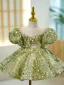 Charming Sage Green Beading Sequins Birthday Short Flower Girl Dresses 2023 Ball Gown Scoop Neck Puffy Short Sleeve