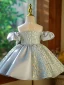 Fashion Silver Grey Birthday Short Flower Girl Dresses 2023 Ball Gown Scoop Neck Puffy Short Sleeve