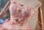 Flower Fairy Blushing Pink Appliques Short Homecoming Graduation Dresses 2025 Strapless Sleeveless Backless Tulle