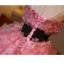 Flower Fairy Candy Pink Appliques Prom Dresses 2025 Ball Gown Strapless Sleeveless Backless Tea-length Tulle Prom Formal Dresses