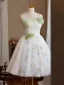 Chic / Belle Vert Cendré Appliques de retour Robe De Graduation 2025 Princesse Bretelles Spaghetti Sans Manches Dos Nu Courte Tulle