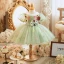 Lovely Sage Green Lace Flower Short Birthday Flower Girl Dresses 2024 Ball Gown Scoop Neck Puffy Short Sleeve Backless