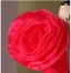 Medieval Fuchsia Rhinestone Appliques Prom Dresses 2024 Satin Ball Gown Scoop Neck Sleeveless Backless Floor-Length / Long Prom Formal Dresses