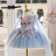 Chic / Beautiful Sky Blue Lace Flower Appliques Birthday Short Flower Girl Dresses 2025 Ball Gown V-Neck Sleeveless