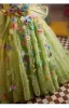 Flower Fairy Sage Green Multi-Colors Appliques Birthday Flower Girl Dresses 2025 Ball Gown Spaghetti Straps Sleeveless Backless Sweep Train