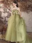 Élégant Vert Cendré Appliques Robe De Bal 2024 Robe Boule Bustier Sans Manches Dos Nu Longue Robe De Ceremonie