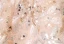 Elegant Champagne Beading Pearl Rhinestone Sequins Birthday Flower Girl Dresses 2024 Ball Gown High Neck Short Sleeve Backless Floor-Length / Long