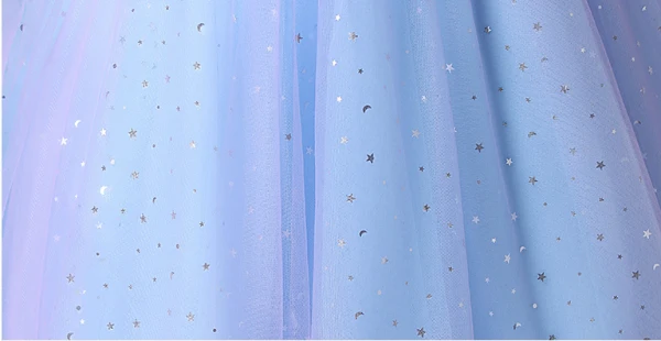 Cinderella Sky Blue Lace Butterfly Star Sequins Flower Girl Dresses 2024 Ball Gown Birthday Scoop Neck Short Sleeve Floor-Length / Long