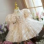 Sparkly Champagne Pearl Sequins Birthday Flower Girl Dresses 2022 Ball Gown High Neck Puffy Short Sleeve Tea-length Flower Girl Dresses