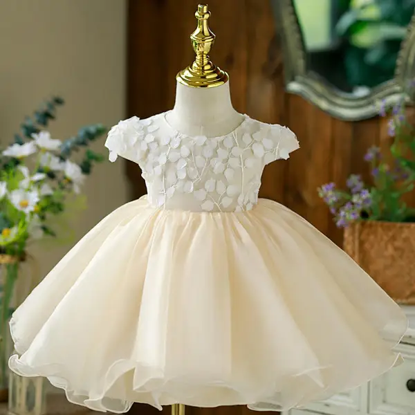 Chic / Beautiful Beige Appliques Birthday Flower Girl Dresses 2022 Ball Gown Scoop Neck Short Sleeve Bow Short Flower Girl Dresses
