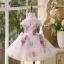 Flower Fairy Multi-Colors Appliques Lace Flower Sequins Short Birthday Flower Girl Dresses 2025 Ball Gown Scoop Neck Sleeveless Backless