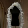 Vintage / Retro White Lace Wedding Veils 2024 3 m Tulle Chapel Train