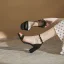 Chic / Beautiful Khaki Summer Street Wear Womens Sandals 2023 Ankle Strap 7 cm Stiletto Heels Open / Peep Toe Sandals High Heels