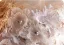 Chic / Beautiful Champagne Appliques Sequins Prom Dresses 2026 A-Line / Princess Off-The-Shoulder Short Sleeve Backless Floor-Length / Long Prom Formal Dresses