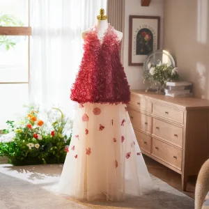 Chic Beautiful Burgundy Appliques Prom Dresses 2025 A Line Princess High Neck Sleeveless Backless Sweep Train Tulle Formal Dresses