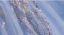 Elegant Sky Blue Beading Pearl Sequins Prom Dresses 2024 Ball Gown Scoop Neck Short Sleeve Backless Floor-Length / Long Prom Formal Dresses