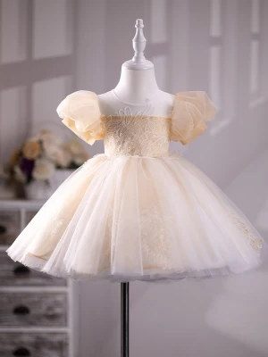 Chic Beautiful Champagne Lace Flower Birthday Flower Girl Dresses 2024 Ball Gown Scoop Neck Puffy Short Sleeve Floor Length Long