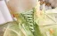 Flower Fairy Sage Green Multi-Colors Appliques Birthday Flower Girl Dresses 2025 Ball Gown Spaghetti Straps Sleeveless Backless Sweep Train