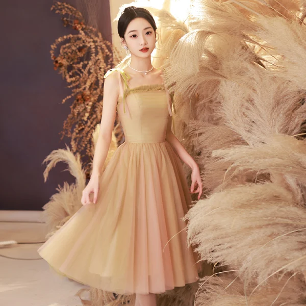 Modest Simple Champagne Homecoming Graduation Dresses 2024 A-Line Princess Spaghetti
