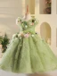 Fée Des Fleurs Vert Cendré Perle Appliques Anniversaire Robe Ceremonie Fille 2023 Robe Boule Encolure Dégagée Sans Manches Dos Nu Noeud Ceinture Longue