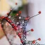 Najpiękniejsze / Ekskluzywne Czerwone Czarne Kryształ Metal Tiara 2017 Biżuteria Ślubna