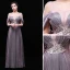 Charming Silver Evening Dresses  2019 A-Line / Princess V-Neck Glitter Polyester Lace Flower Sleeveless Backless Floor-Length / Long Formal Dresses