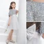 Fashion Grey Sequins Short Birthday Bow Flower Girl Dresses 2021 A-Line / Princess Scoop Neck Short Sleeve