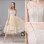 Fashion Champagne Homecoming Graduation Dresses 2020 A-Line / Princess Spaghetti Straps Lace Sleeveless Backless Tea-length Formal Dresses