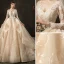 Haut de Gamme Mode Champagne Robe De Mariée 2020 Robe Boule V-Cou En Dentelle Fleur Manches Longues Dos Nu Volants en Cascade Royal Train