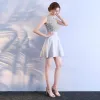 Chic / Beautiful Grey Graduation Dresses 2018 A-Line / Princess U-Neck Lace Beading Embroidered Homecoming Formal Dresses