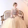 Chic / Beautiful Prom Dresses 2017 A-Line / Princess Lace Flower Beading Pearl Sequins Sleeveless Sweep Train Formal Dresses