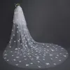 Chic / Beautiful White Wedding Veils 2017 Tulle Appliques Embroidered Wedding
