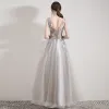 Illusion Grey Organza Evening Dresses  2019 A-Line / Princess See-through Deep V-Neck Sleeveless Appliques Lace Rhinestone Feather Floor-Length / Long Ruffle Backless Formal Dresses