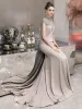 Luxury / Gorgeous Grey Evening Dresses  2019 Trumpet / Mermaid High Neck Sleeveless Pearl Rhinestone Beading Tassel Sweep Train Formal Dresses