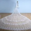 Modest / Simple White 2017 Tulle Lace Wedding Appliques Wedding Veils