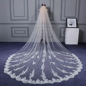 Chic / Beautiful 2017 White Lace Appliques Tulle Lace Tiara