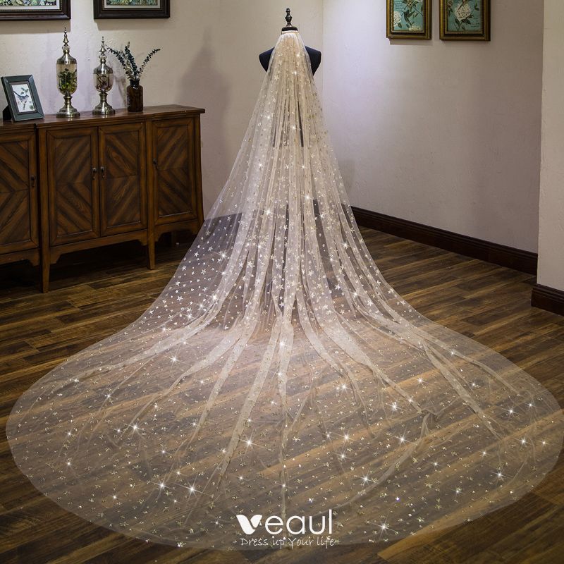 long tulle veil