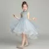 Vintage / Retro Sky Blue Flower Girl Dresses 2019 Ball Gown High Neck ...