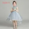 Vintage / Retro Sky Blue Flower Girl Dresses 2019 Ball Gown High Neck ...