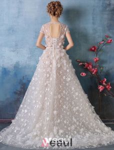 https://img.veaul.com/product/b7c9b3c7e6707ef100dccb1bbd74af6f/2016-gorgeous-square-neckline-beaded-applique-petals-champagne-lace-wedding-dress-with-sash-800x800.jpg?x-oss-process=image/resize,h_300,w_300