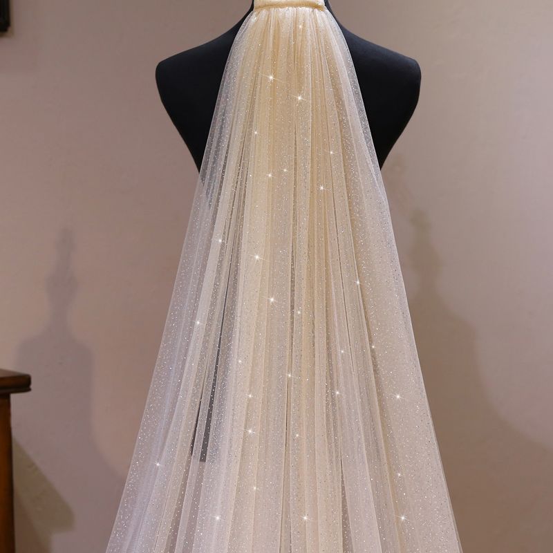 https://img.veaul.com/product/f4e13fe8c4874a66a9a921765a9ee23b/sparkly-bling-bling-champagne-wedding-veils-2020-tulle-glitter-sequins-chapel-train-wedding-accessories-800x800.jpg