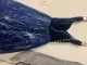 Review photo 1