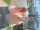 Review photo 2