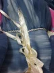 Review photo 3