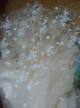Review photo 1